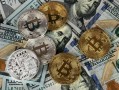 为什么有些保险能退本金？退保本金的关键因素解析